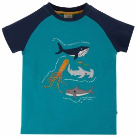 T-Shirt türkisblau "Sea"
